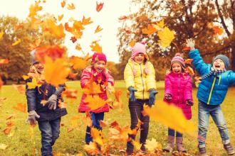 
		Our fall will be colorful!
	