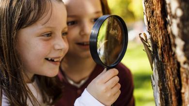
		Children look at an insect on a tree with a magnifying glass
	