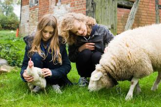 
		Two girls with sheep and chicken
	