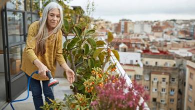 
		a woman watering on a roof garden
	