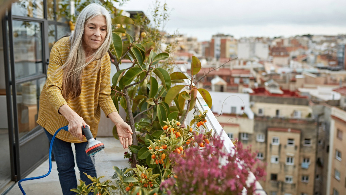 a woman watering on a roof garden