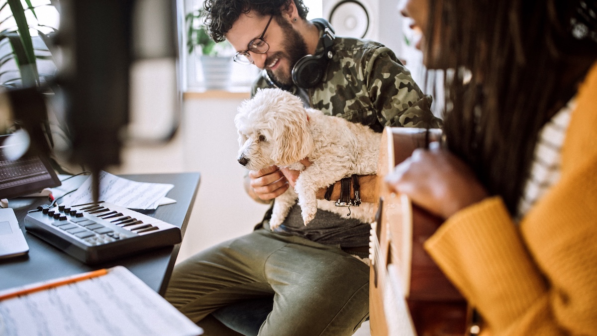 Two team members can be seen in the office with the office dog