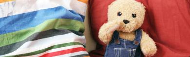 
		Teddy bear on a cushion
	